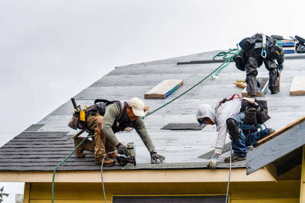 Professional Storm Damage Roof Repair technician working in Clarksville, VA
